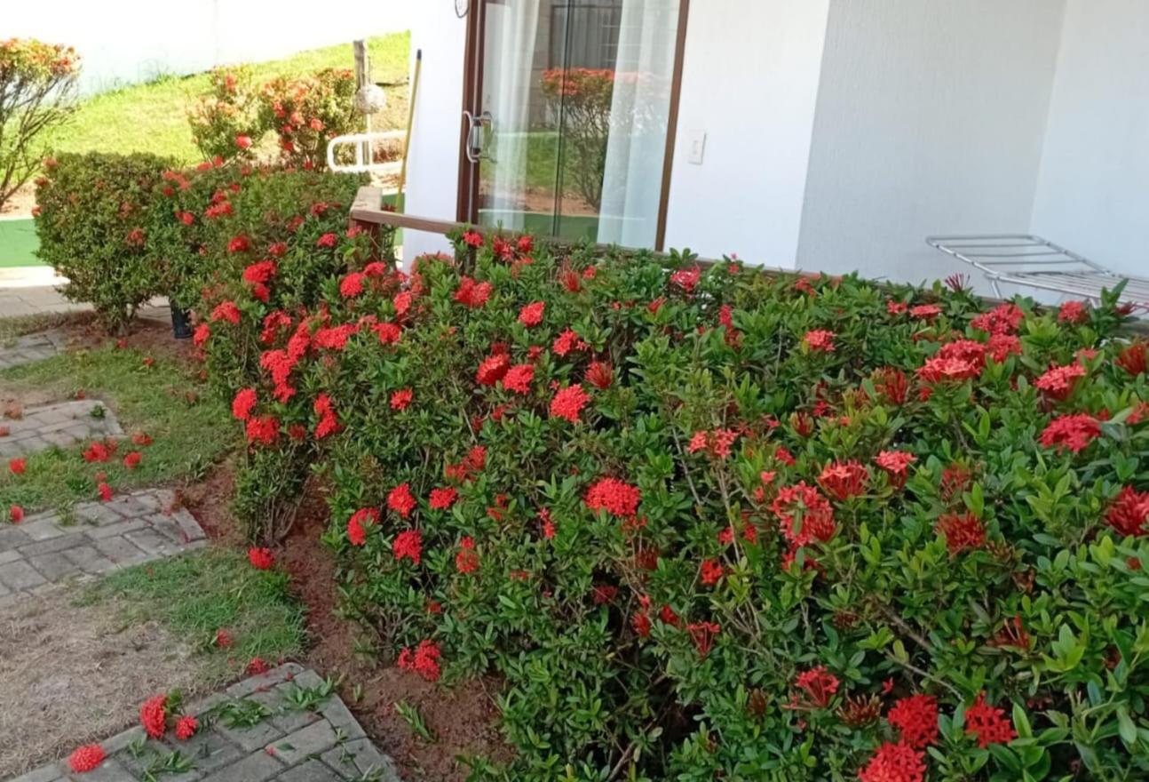 Flat Em Pipa - Brisas Do Amor Praia de Pipa Habitación foto